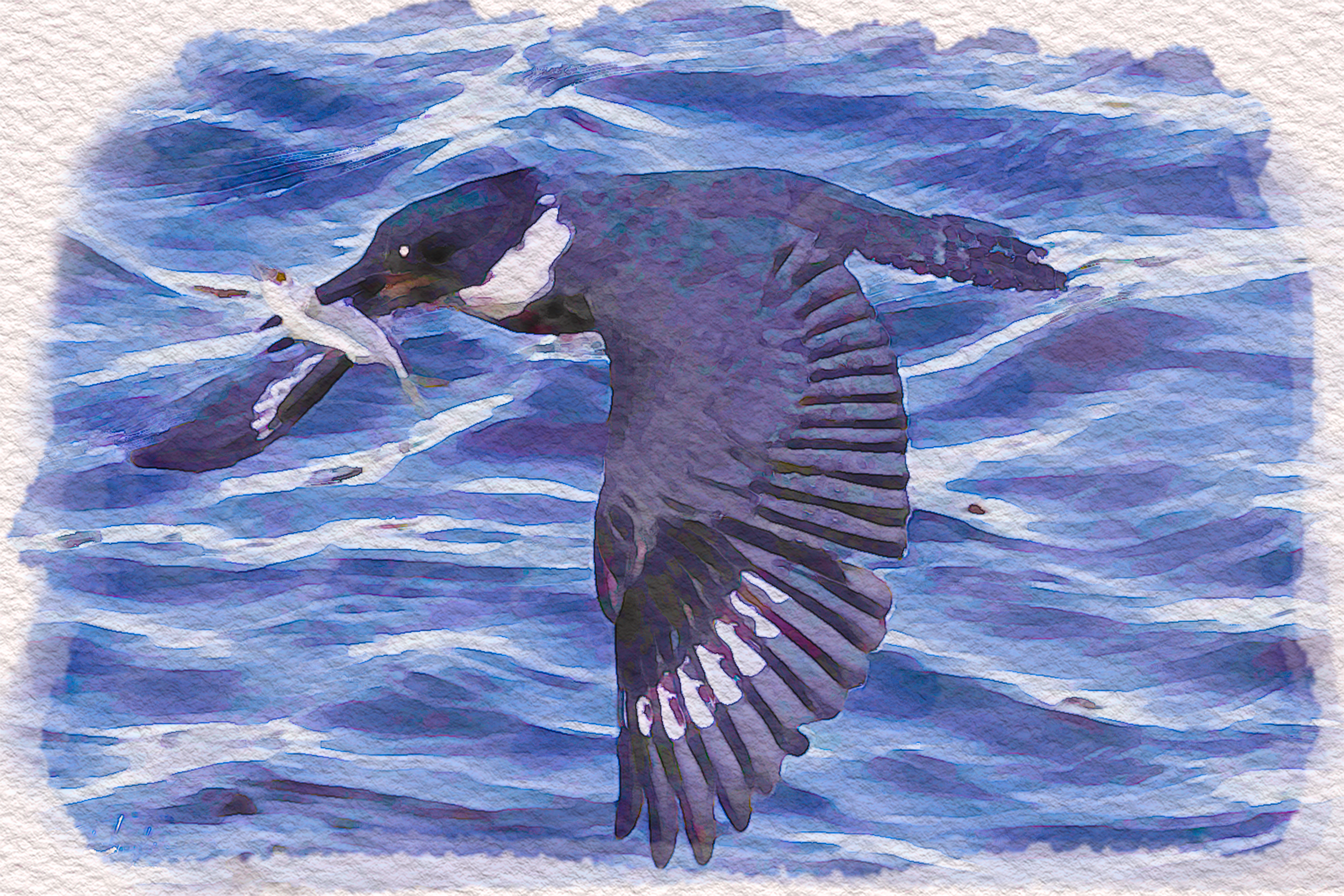 Watercolor painting of a kingfisher with a fish in its beak 