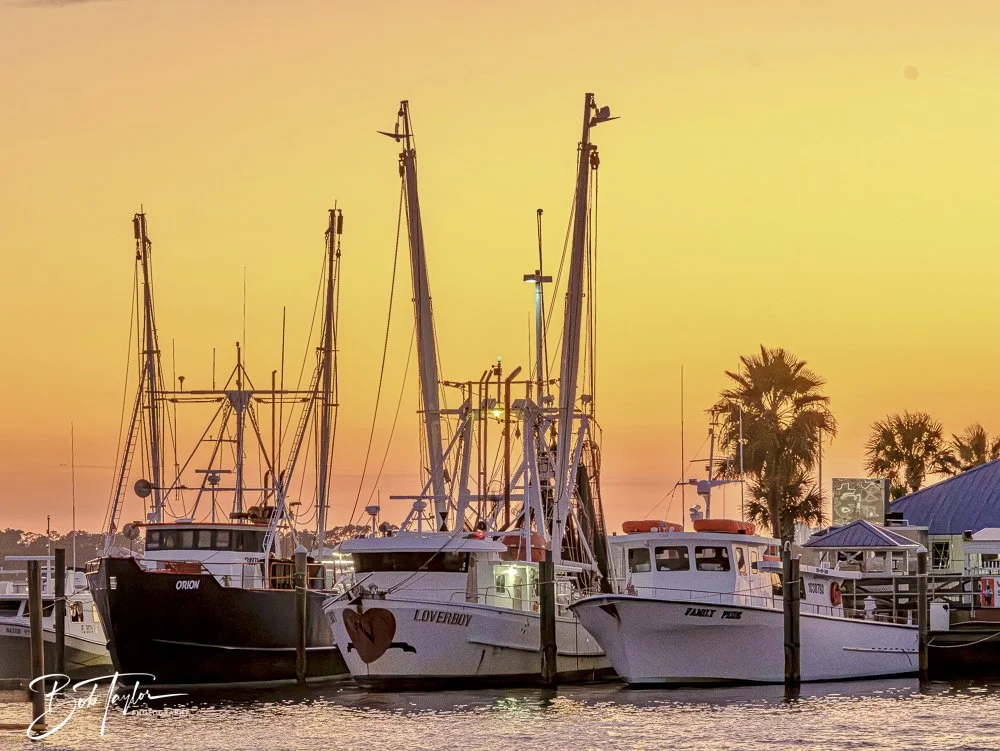 20251012-Sunsets -12.jpeg