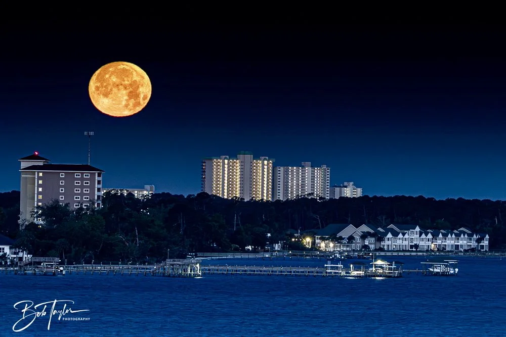 20250412-SA at Night -7.jpeg