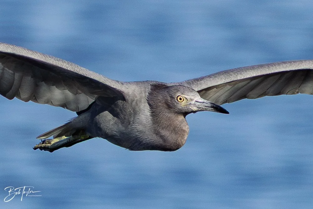 20251115-SASP Final -5.jpg