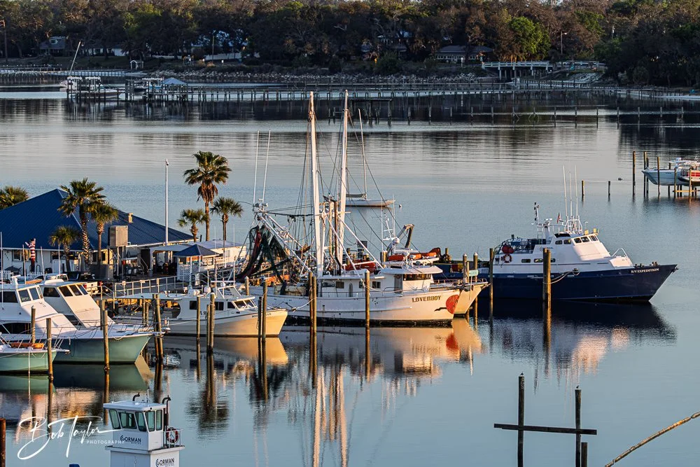 20250414-Historic St Andrews -5.jpg