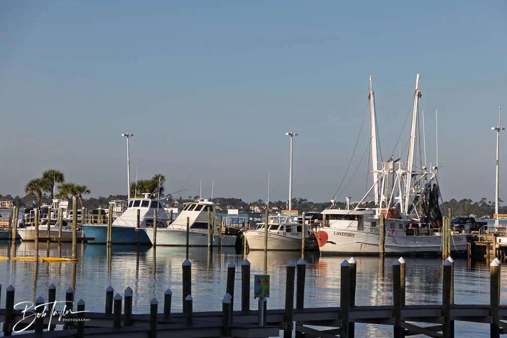 20250414-Historic St Andrews -52.jpg