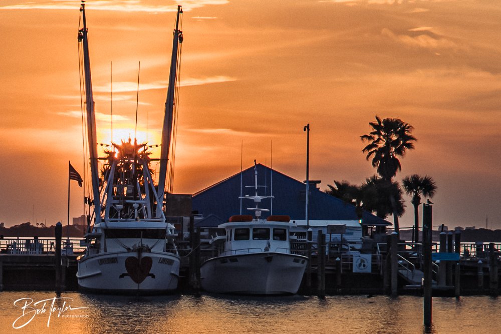 20250327-Walk Around -62.jpg