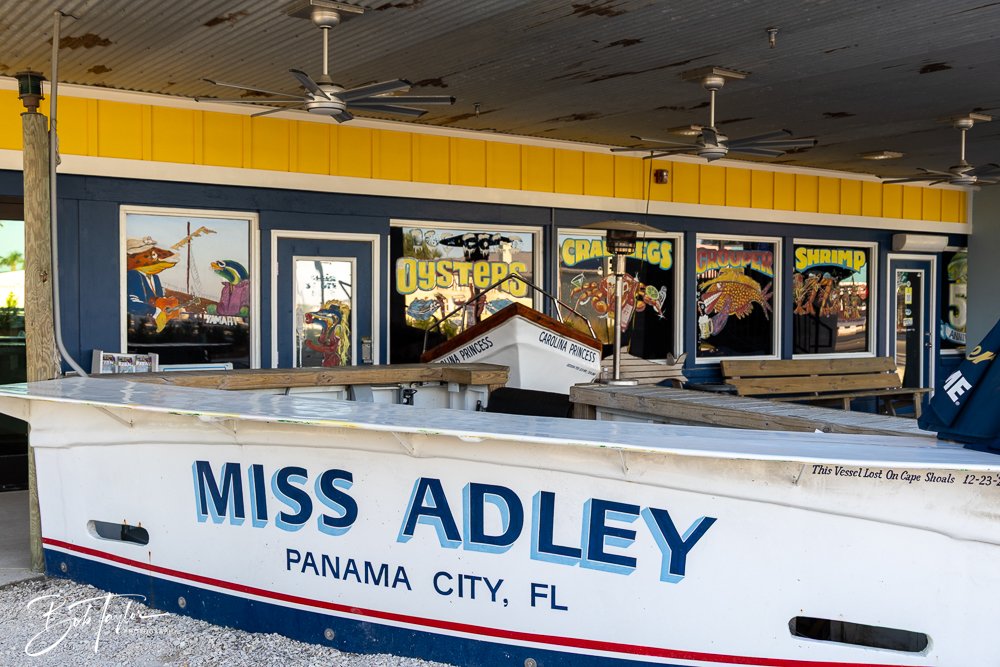 20250414-St Andrews Stops 2 -34.jpg