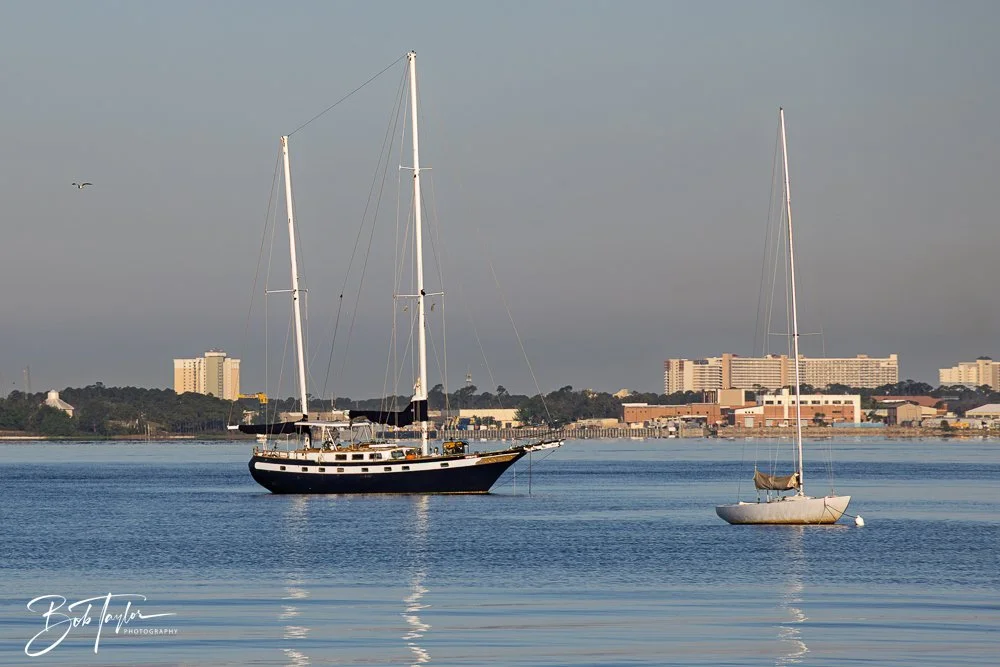 20250414-Historic St Andrews -50.jpg