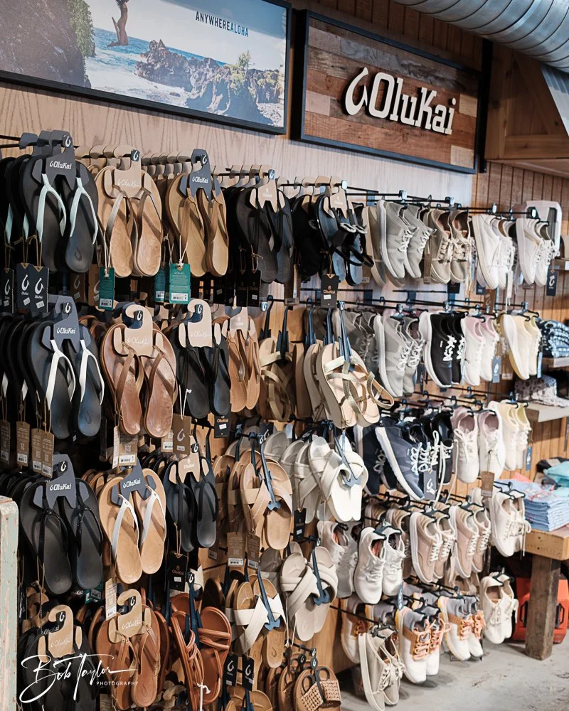 20250509-Sunjammers -19.jpg