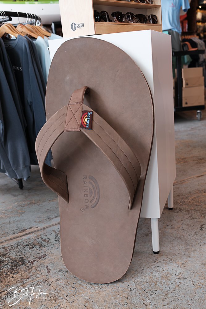 20250509-Sunjammers -21.jpg