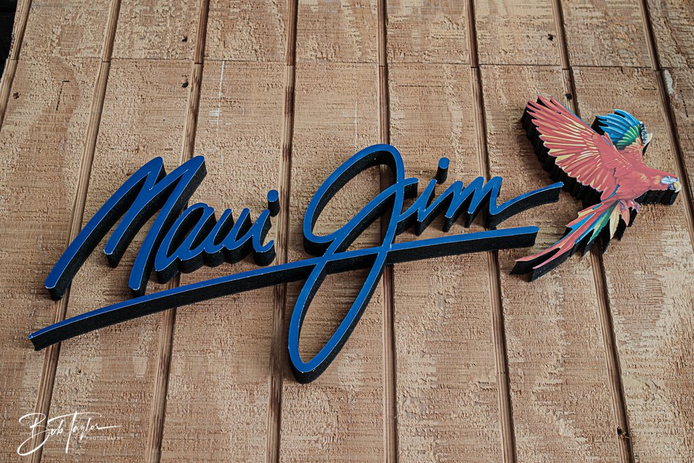 20250509-Sunjammers -5.jpg