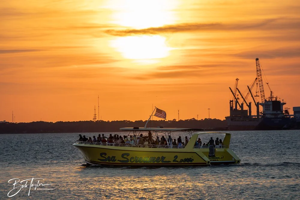 20240816-20240816-The Dive -10-2.jpg