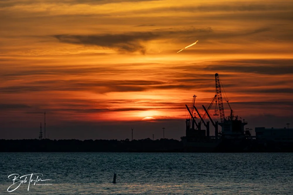 20240816-20240816-The Dive -17-2.jpg