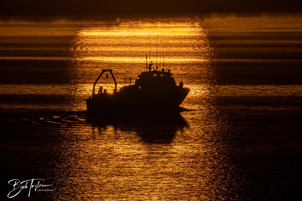 20250324-Sunset Colors -7.jpg