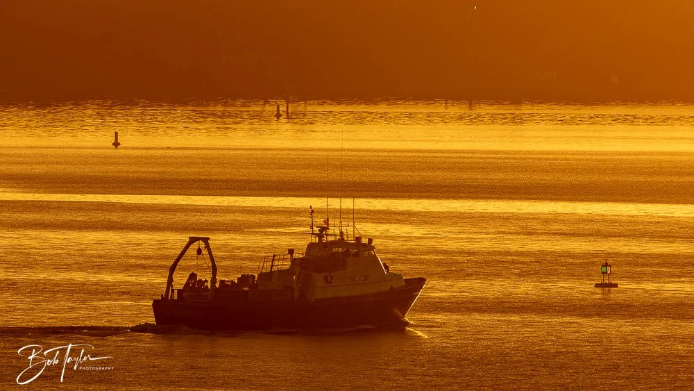 20250324-Sunset Colors -4.jpg