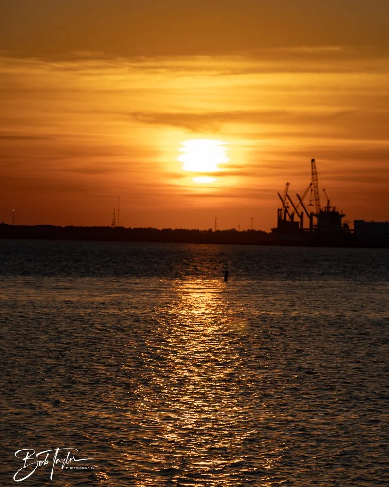 20240816-20240816-The Dive -15-2.jpg