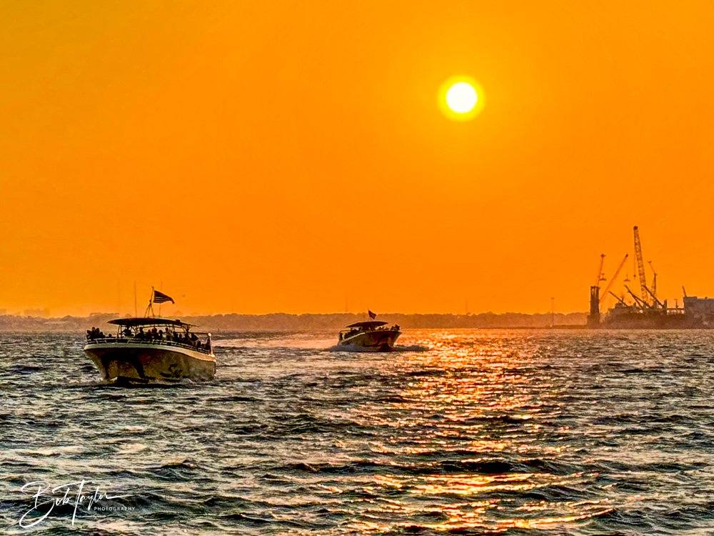 20240808-20240808-Sunset Sea Screamer -1-2.jpg