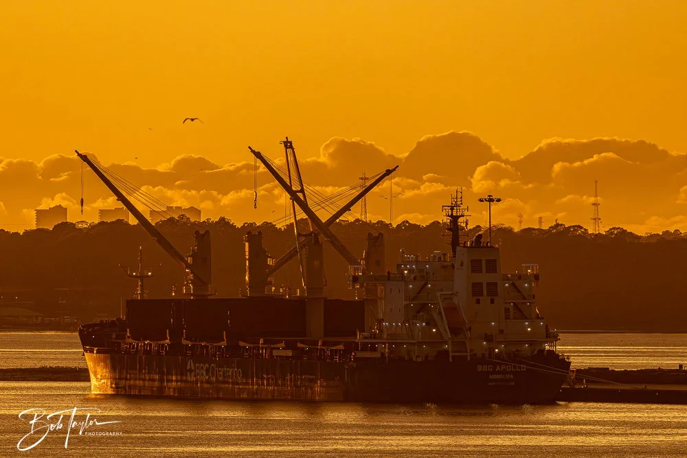 20250324-Sunset Colors -5.jpg