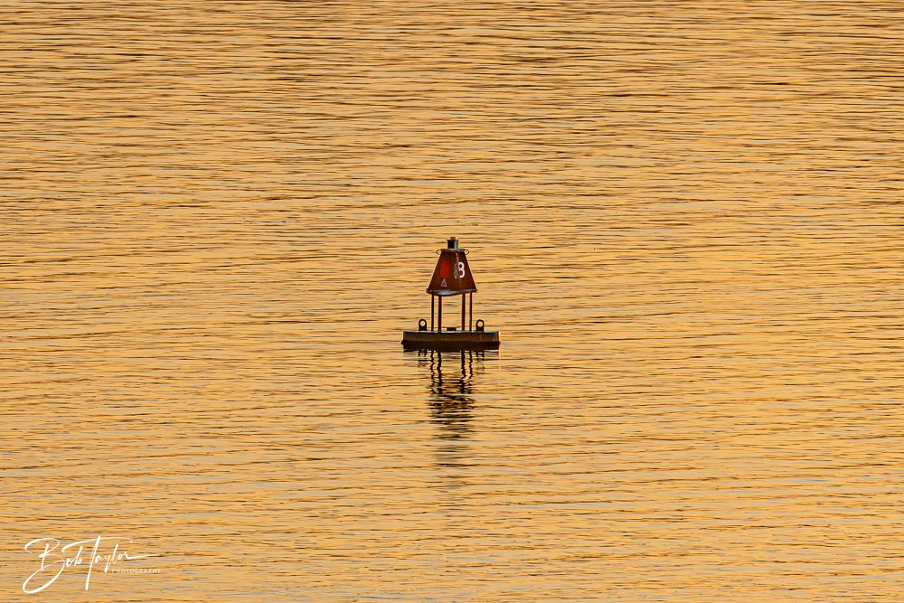 20241217-Sunset over Fog -7.jpg