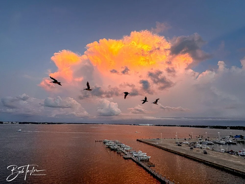 20240802-20240802-Exploding Cloud Colors -10-2.jpg