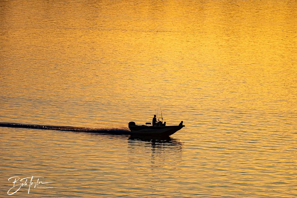 20241217-Sunset over Fog -5.jpg