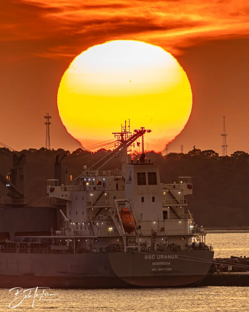 20240731-20240731-Sunset over Port -4-2.jpg