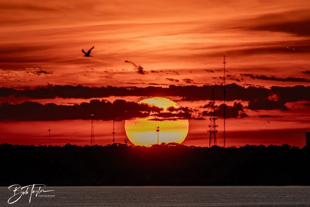 20240819-08-19-24 Sunset -5.jpg