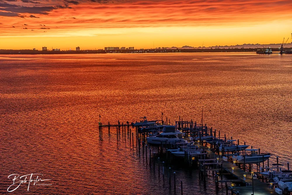 20250324-Sunset Colors -19.jpg