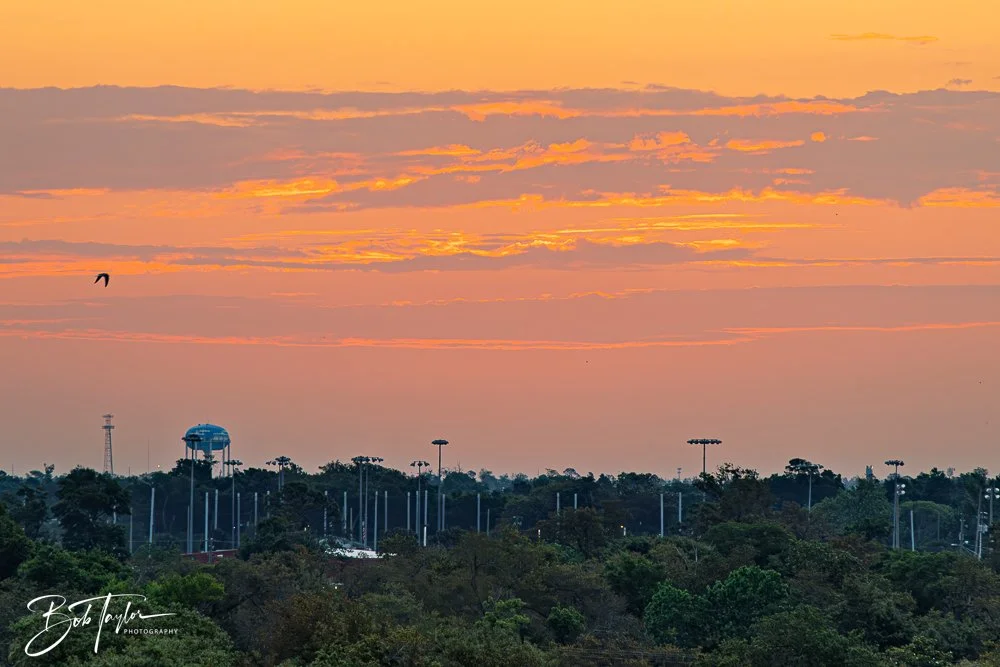 20250430-Sunrise -1.jpg