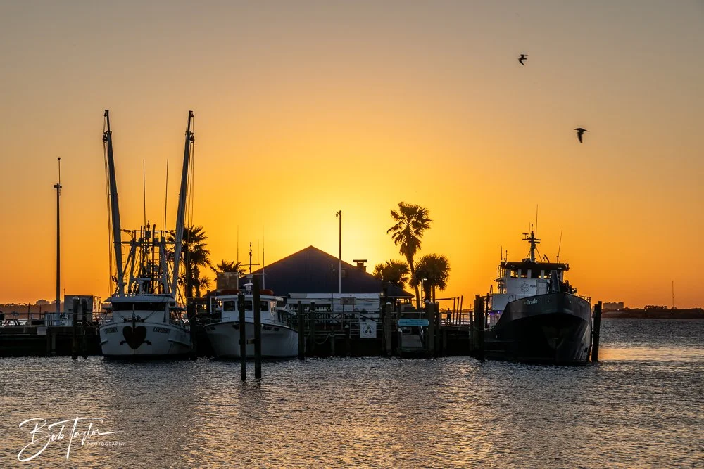 20250319-Sunset with FF -1.jpg