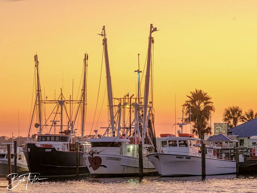 20251012-Sunsets -12.jpg