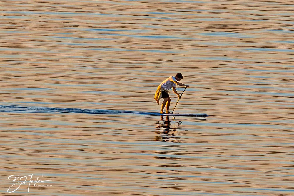 20241217-Sunset over Fog -3.jpg