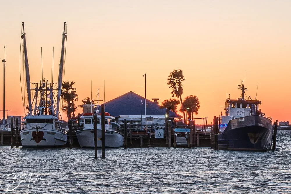 20250320-Salt Rock L -9.jpg