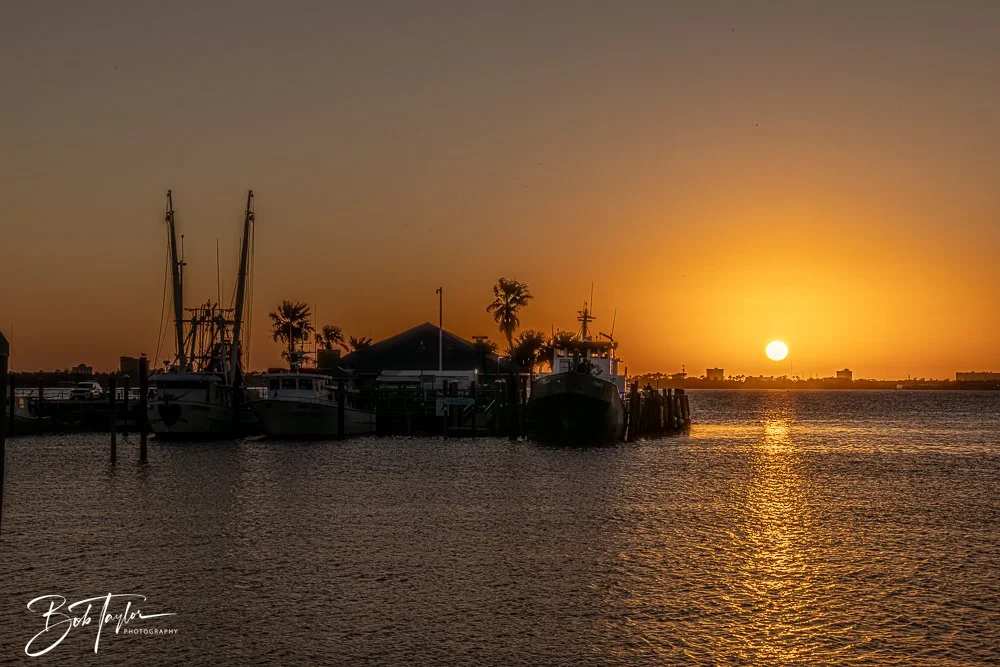 20250319-Sunset with FF -2.jpg