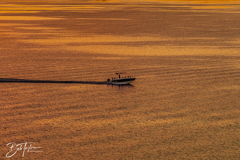 20251102-Sunset -10.jpg