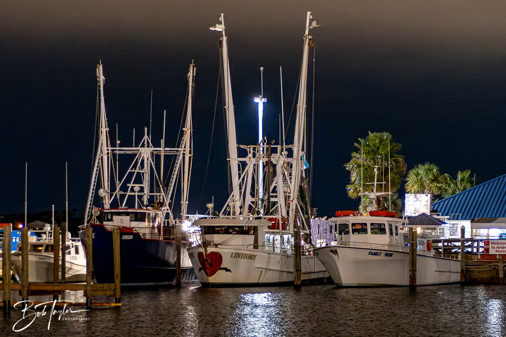 20251028-Scratch Pumpkins -61.jpg