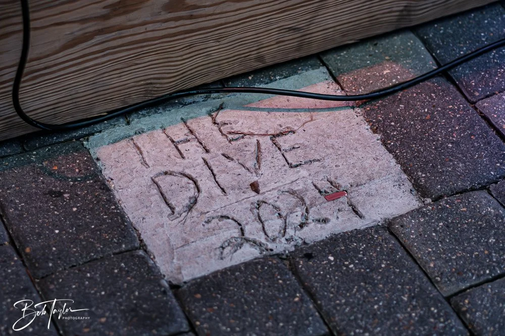 20251028-Scratch Pumpkins -1.jpg