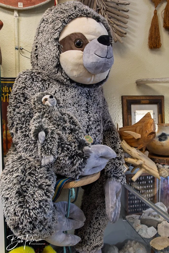 20250418-Native Spirit -5.jpg