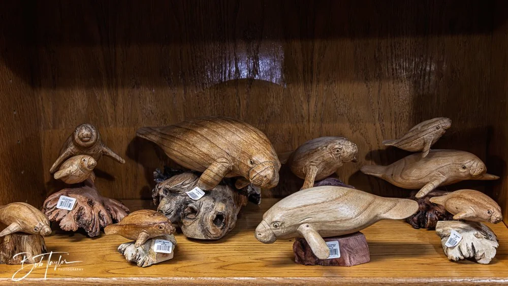 20250418-Native Spirit -12.jpg