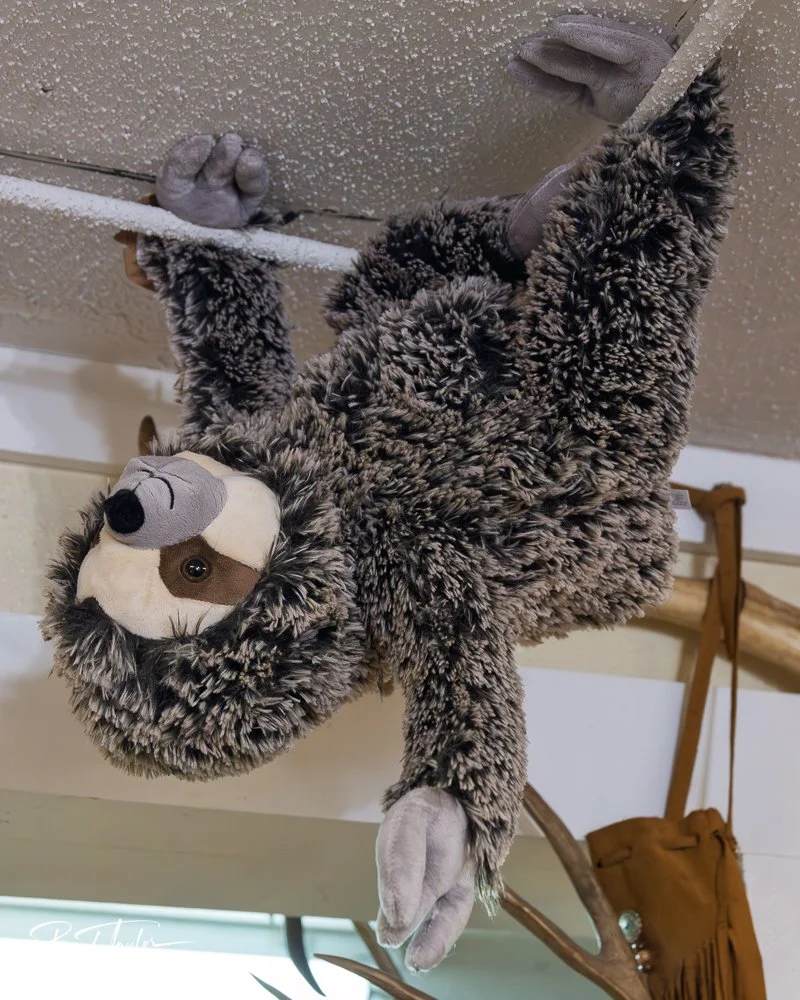 20250418-Native Spirit -4.jpg