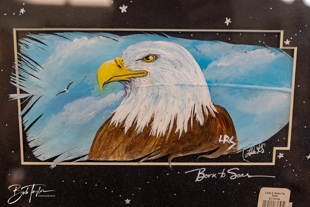 20250418-Native Spirit -23.jpg