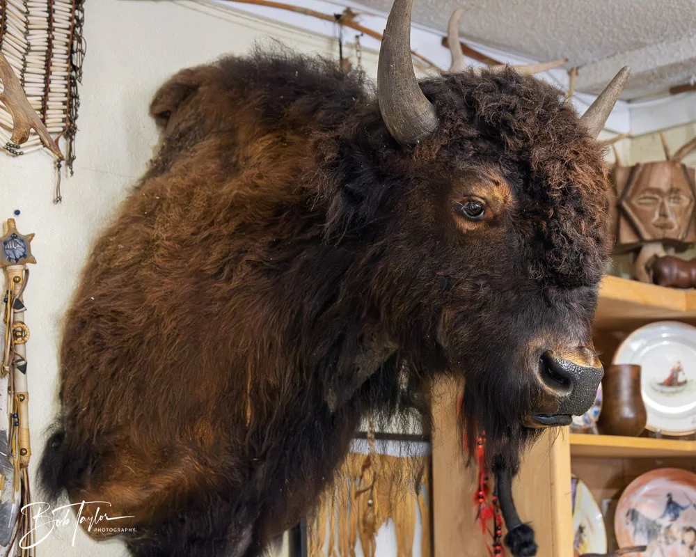 20250418-Native Spirit -3.jpg