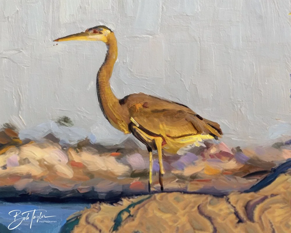 SASP Jan 24 - Blue Heron on Rocks - Oil-2.jpg