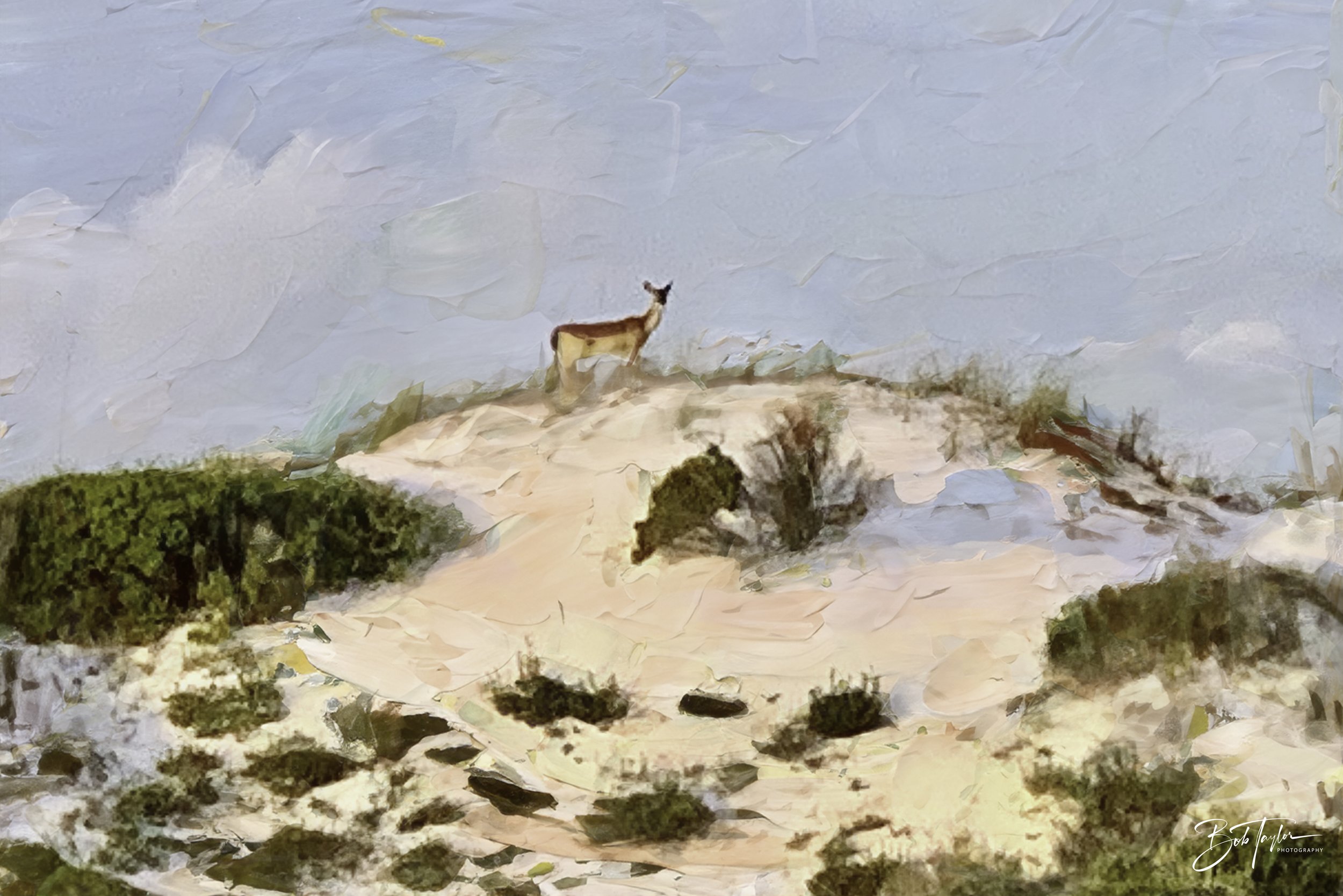 20240104-SASP Oil 2.jpg