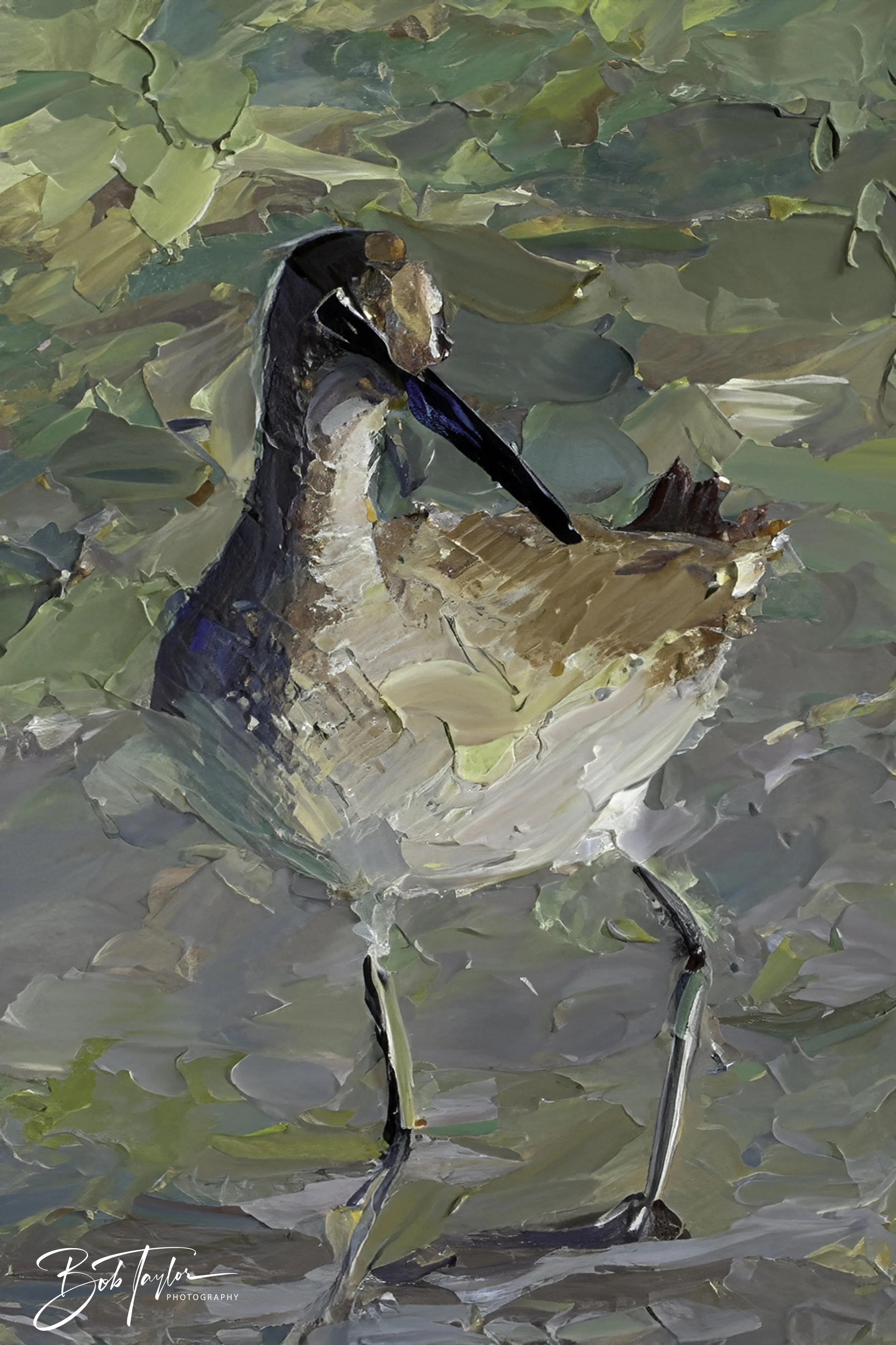 20240104-Willet Walking Oil 1.jpg