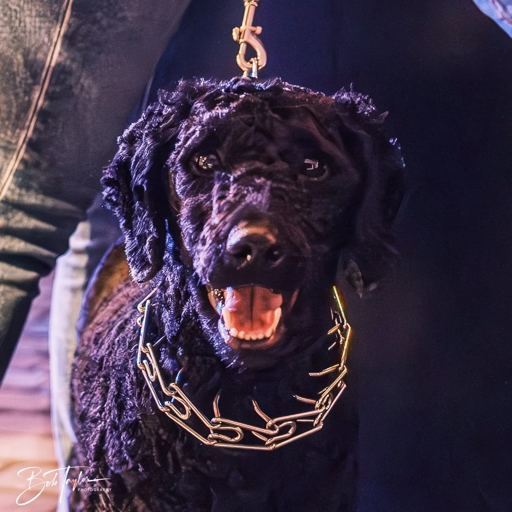 20250227-20250227-Anne Kline -22.jpg