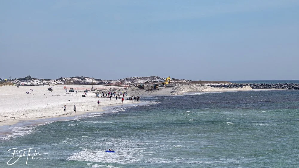 20250130-SASP Final Post -3.jpeg