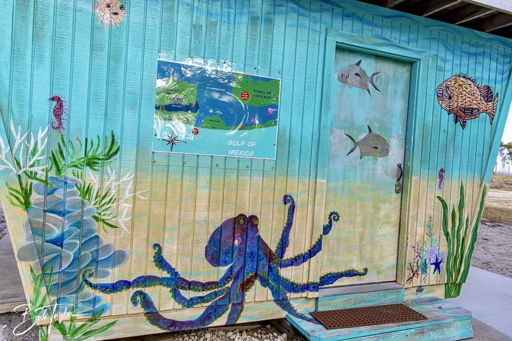 20250201-SASP Post 1 -42.jpeg