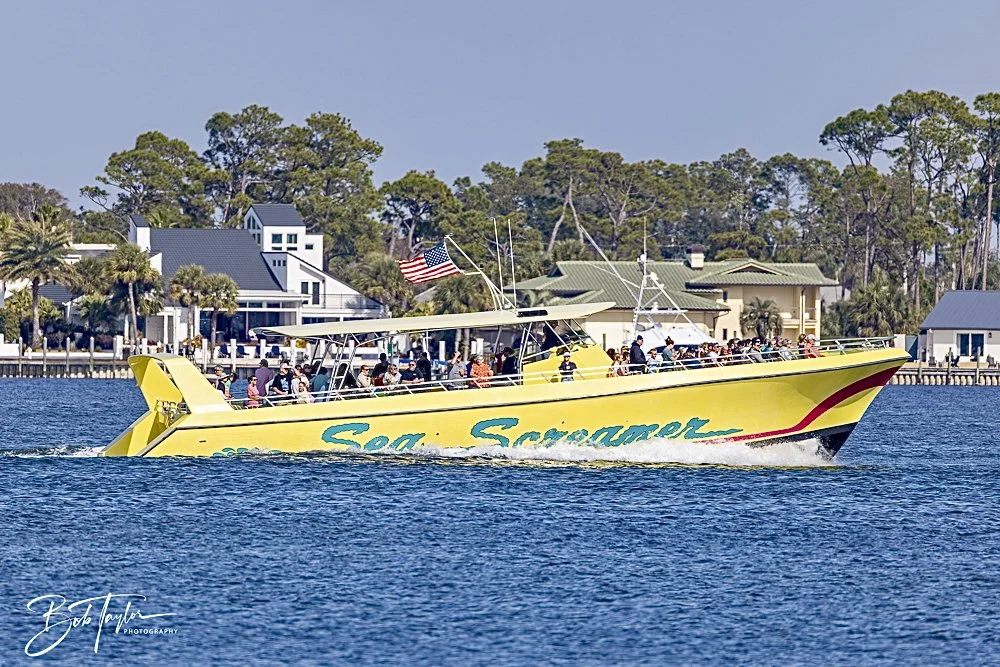 20250130-SASP Final Post 2 -1.jpeg