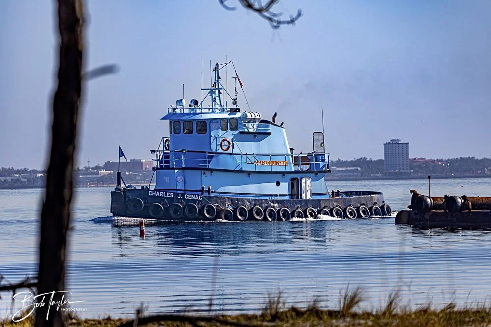 20250203-SASP Final Post 2 -17.jpeg