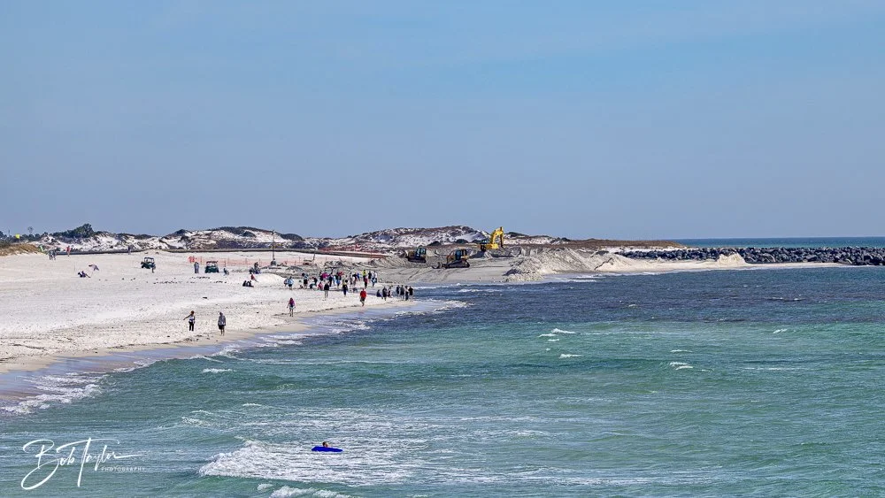 20250130-SASP Final Post 2 -3.jpeg