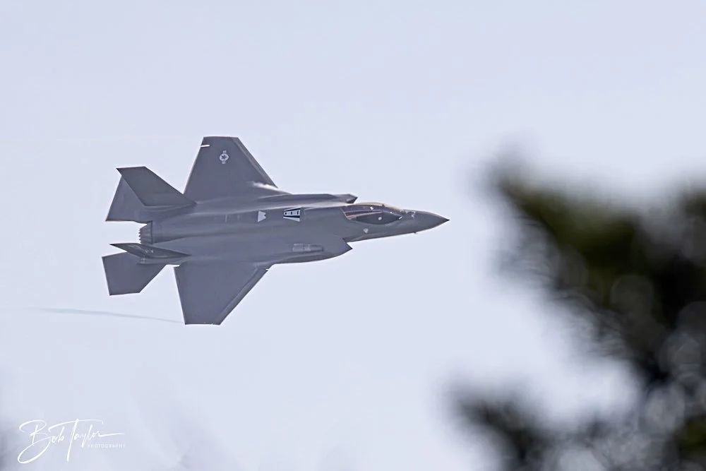 20250204-SASP Final Post 2 -79.jpeg