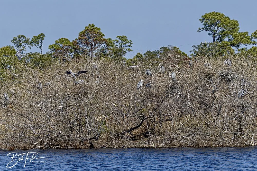 20250204-SASP Final Post 2 -74.jpeg